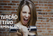 Motivação artigo 02