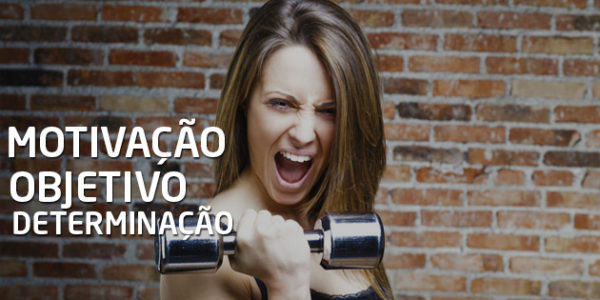 Motivação artigo 02